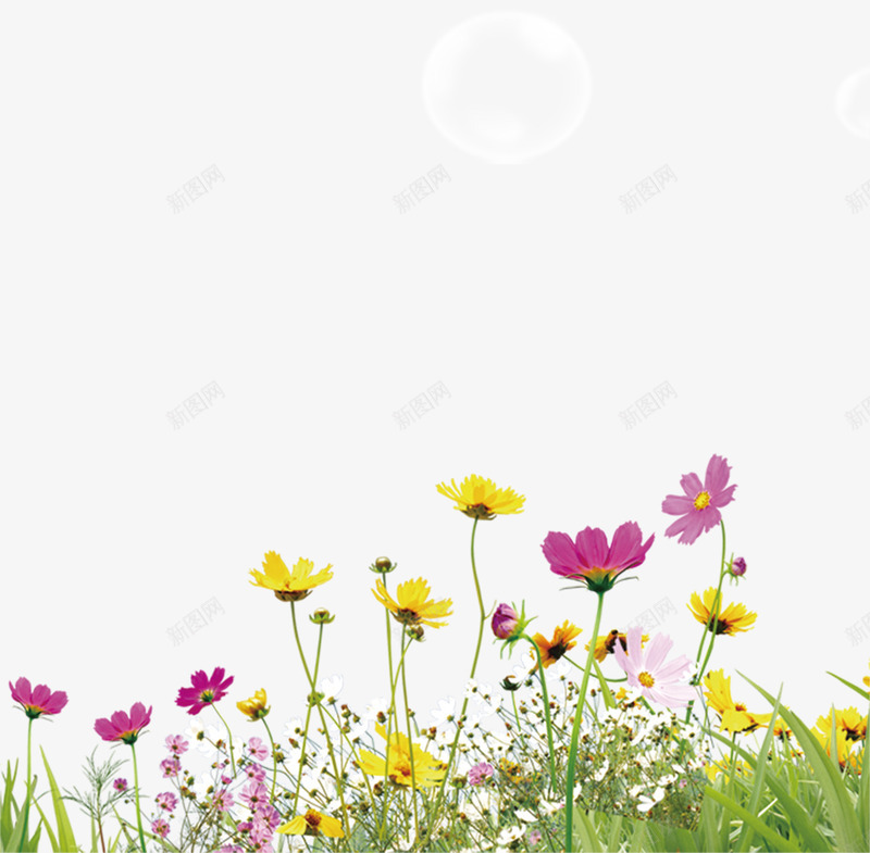 彩色草地郊外花朵气泡png免抠素材_新图网 https://ixintu.com 彩色 气泡 花朵 草地 郊外