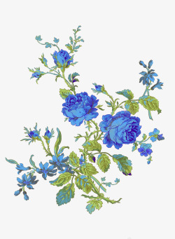古典风格蓝色花朵素材