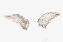 白色粉笔实物图天使的翅膀实物图高清图片