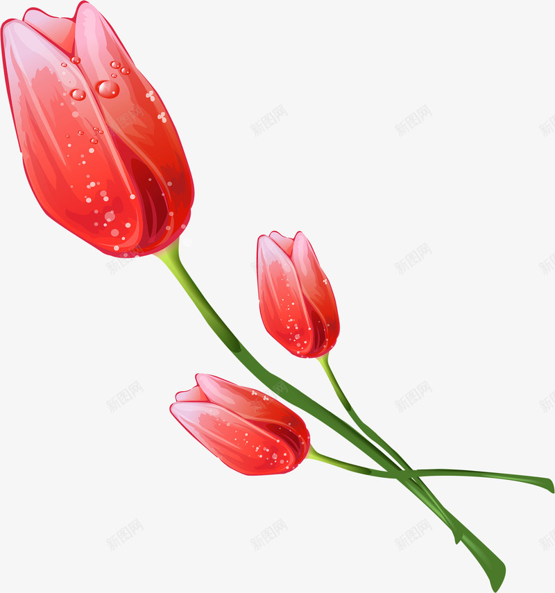 海报卡通涂鸦植物花朵png免抠素材_新图网 https://ixintu.com 卡通 植物 海报 涂鸦 花朵 设计