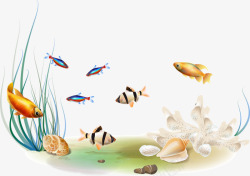 水低鱼类贝壳水草素材