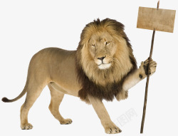 狮子拿着公告牌路牌素材