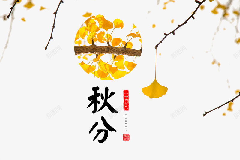 秋分艺术字png免抠素材_新图网 https://ixintu.com 二十四节气 树叶 水彩 秋分 秋季装饰 背景装饰 银杏叶 黄色叶子