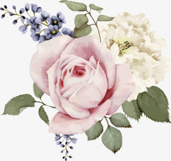 一周岁玫瑰装饰花卉高清图片