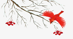 手绘树枝小红鸟和山楂素材