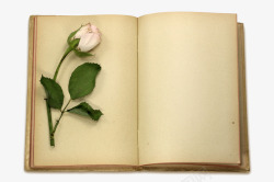 空白页复古翻开的书籍康乃馨母亲节矢量图高清图片