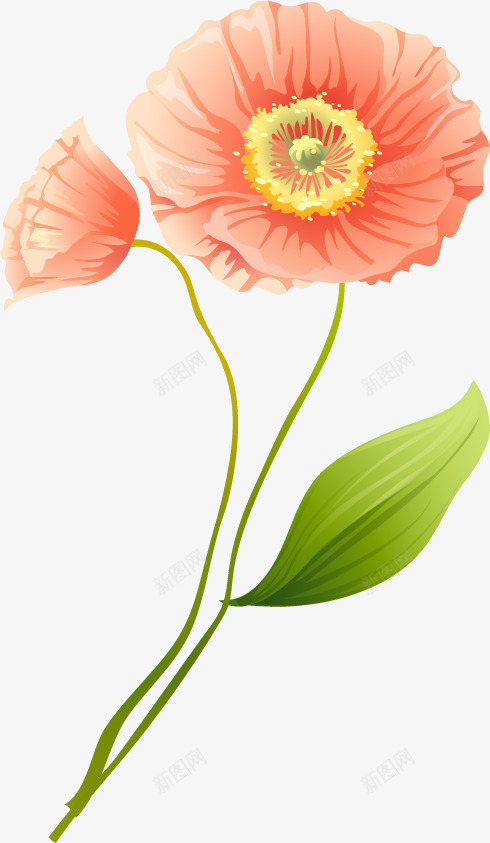 创意海报涂鸦花朵植物小清晰png免抠素材_新图网 https://ixintu.com 创意 植物 海报 涂鸦 清晰 花朵 设计