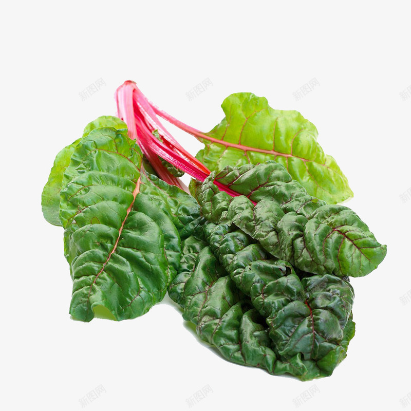甜菜叶png免抠素材_新图网 https://ixintu.com 实物 甜菜 生食 绿色食品 菜 菜叶 营养 蔬菜 高清图片