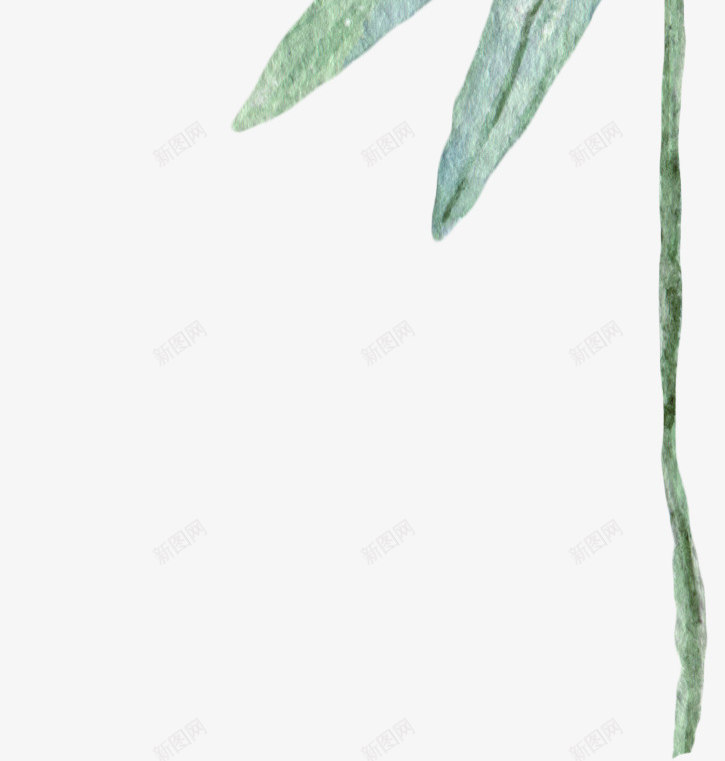彩绘芭蕉叶png免抠素材_新图网 https://ixintu.com 叶子 唯美 平面 彩绘 手绘 树叶 绿色 芭蕉叶