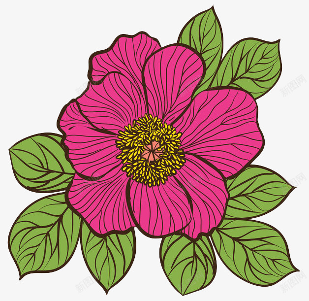 彩色手绘花卉png免抠素材_新图网 https://ixintu.com 手绘 植物 红花 线描花矢量图 线条手绘 绿叶 花卉