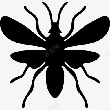 飞蚁图标图标