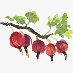 手绘水果树图像素材