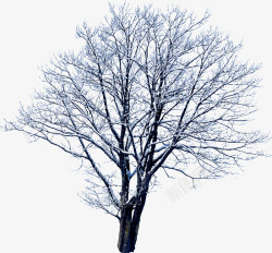 创意合成摄影冬天的树木造型素材
