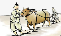 古代拉牛车在田地里耕作的戴头巾素材