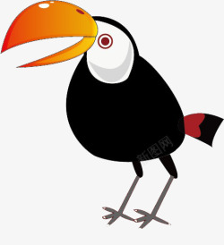 鹩哥红眼睛的大嘴鸟高清图片