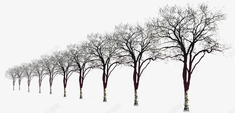 摄影冬天的树木造型合成png免抠素材_新图网 https://ixintu.com 冬天 合成 摄影 树木 造型