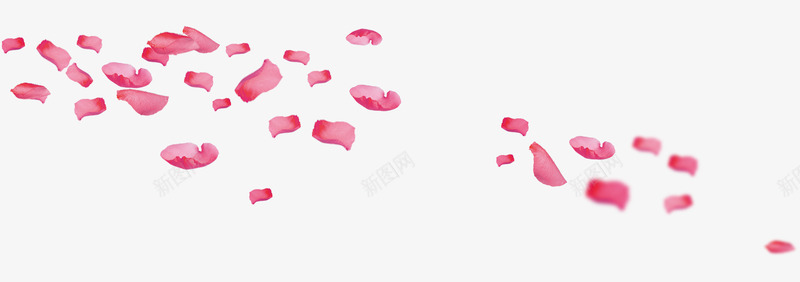 漂浮的花瓣png免抠素材_新图网 https://ixintu.com 梅花 漂浮 粉色