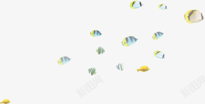海底生物热带鱼群png免抠素材_新图网 https://ixintu.com 海底 热带鱼 生物