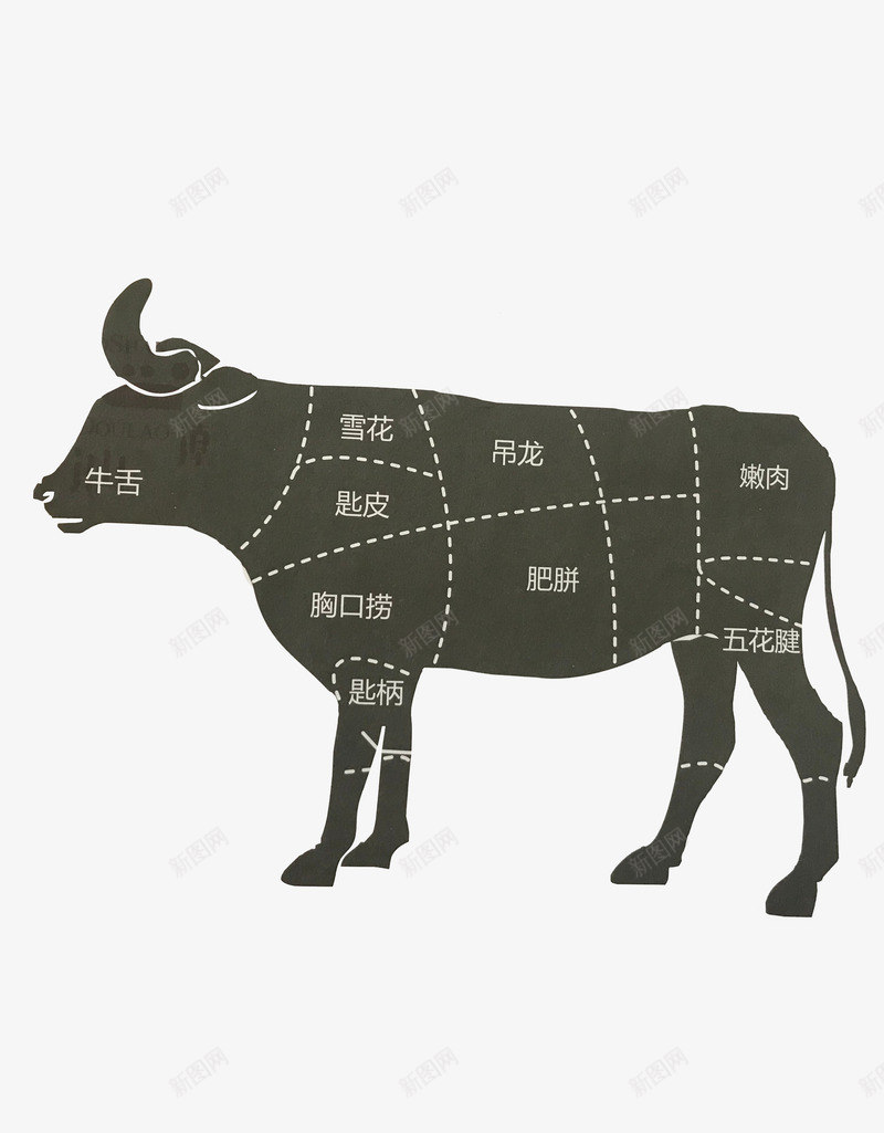 牛部位分割图牛牛png免抠素材_新图网 https://ixintu.com 分割图 牛肉 牛部位 部位