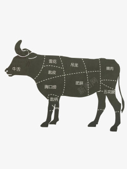 牛肉部位分切图牛部位分割图牛牛高清图片