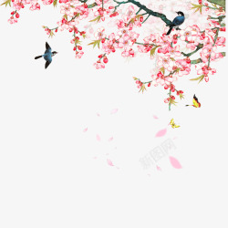 桃花小鸟唯美桃花高清图片