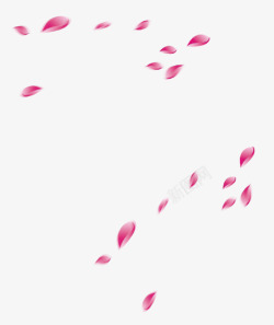 粉色花瓣飘逸空中素材