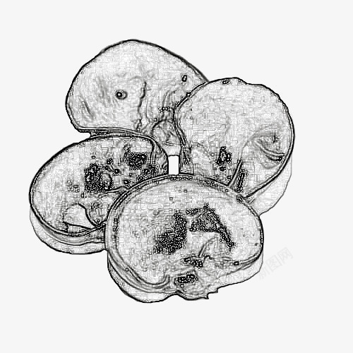 四片木耳手绘png免抠素材_新图网 https://ixintu.com 四片木耳 手绘 手绘木耳 木耳 素描木耳 美味食材 风味美食 食物 黑白素描木耳