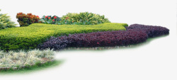 花园风光花园的花坛草本植物摄影高清图片