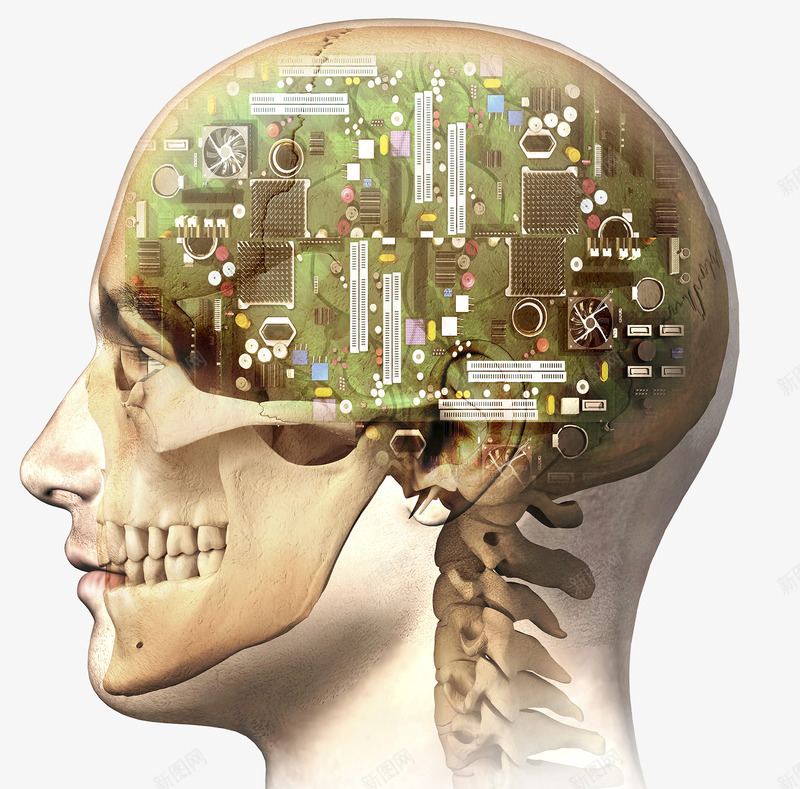 人工智能png免抠素材_新图网 https://ixintu.com 人工智能 大脑 未来科技 集成电路板
