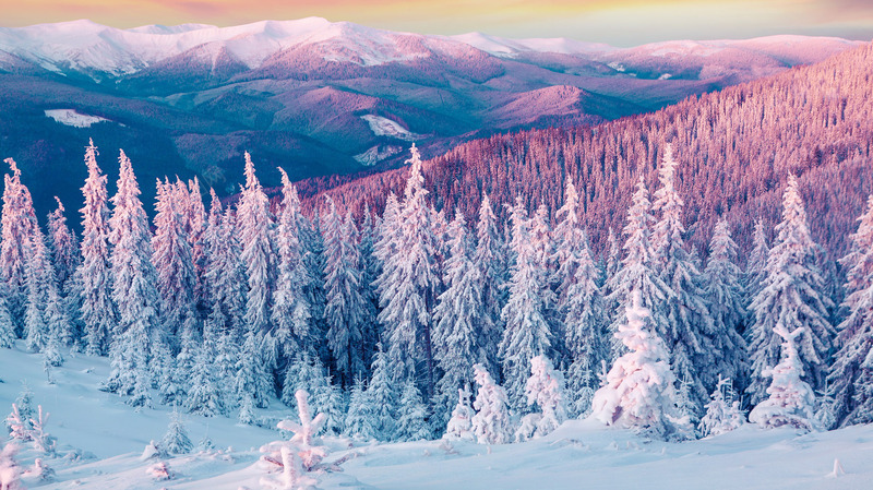 冬天美景雪山树木png免抠素材_新图网 https://ixintu.com 冬天 树木 美景 雪山