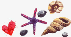 海星海螺贝壳元素素材