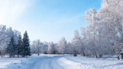 森林场景创意合成效果森林冬天场景高清图片