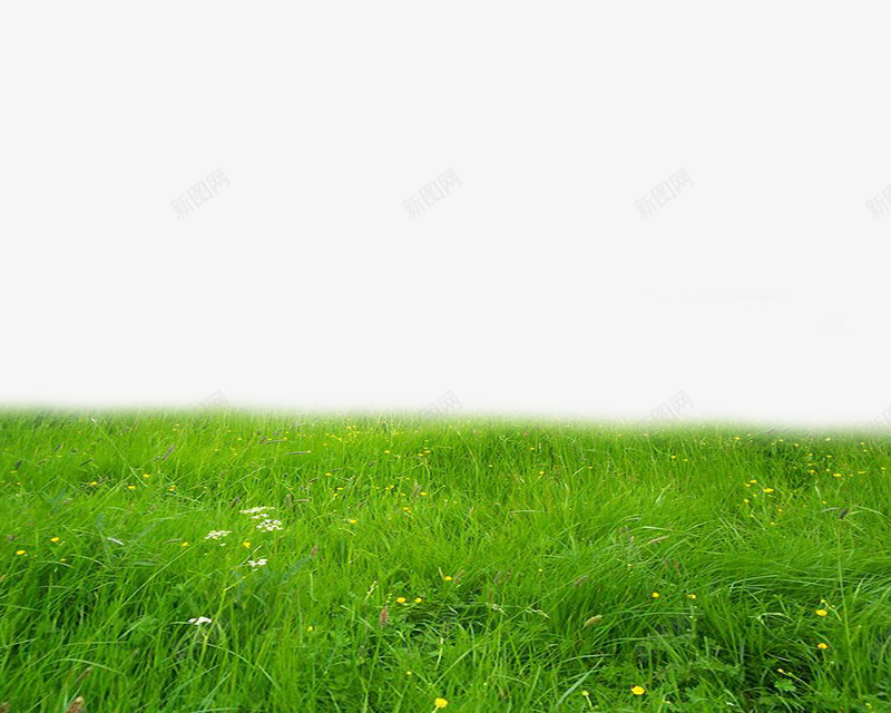 绿色草地风景装饰png免抠素材_新图网 https://ixintu.com 绿色 草地 装饰 风景