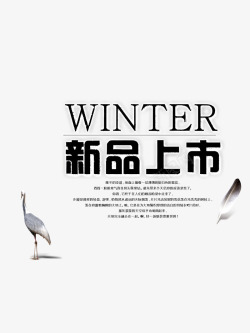 WINTER新品素材