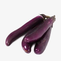 矢量紫色茄子茄子高清图片