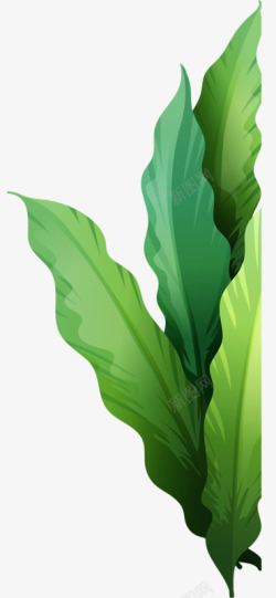 条状植物条状绿色植物树叶高清图片