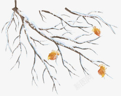冬日树枝矢量图白色冬季积雪花枝高清图片