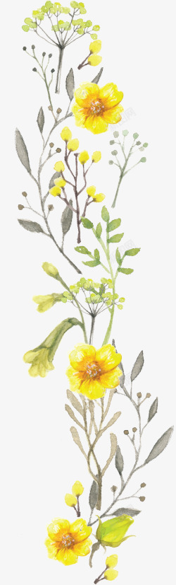 涂鸦植物黄色花朵植物素材