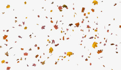 秋天落叶漂浮叶子素材