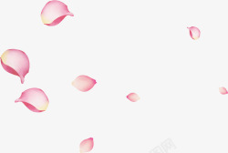粉色漂浮玫瑰花瓣素材