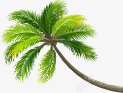 绿色热带卡通椰树创意素材