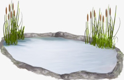 绿草芦苇池塘片高清图片