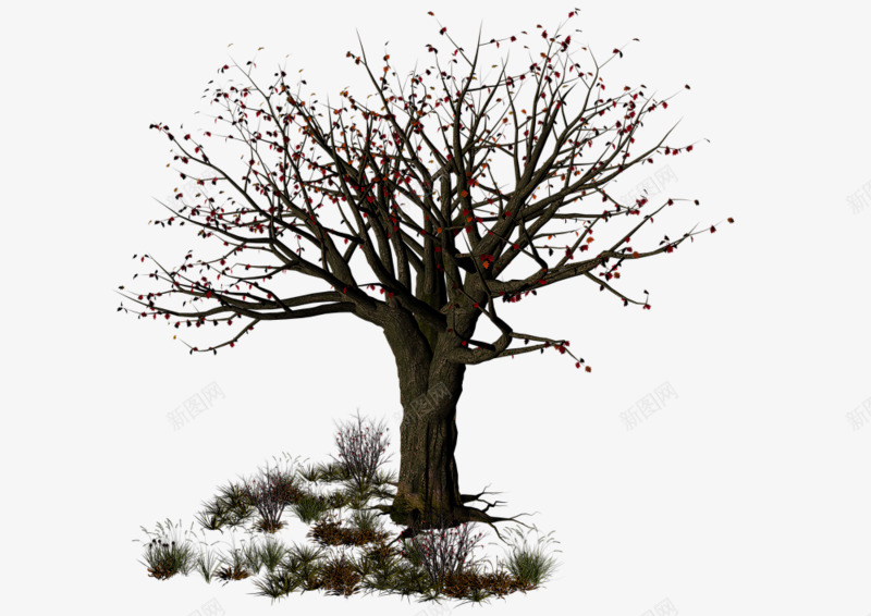手绘树木png免抠素材_新图网 https://ixintu.com 冬天的树 植物 没有树叶 配景 高清