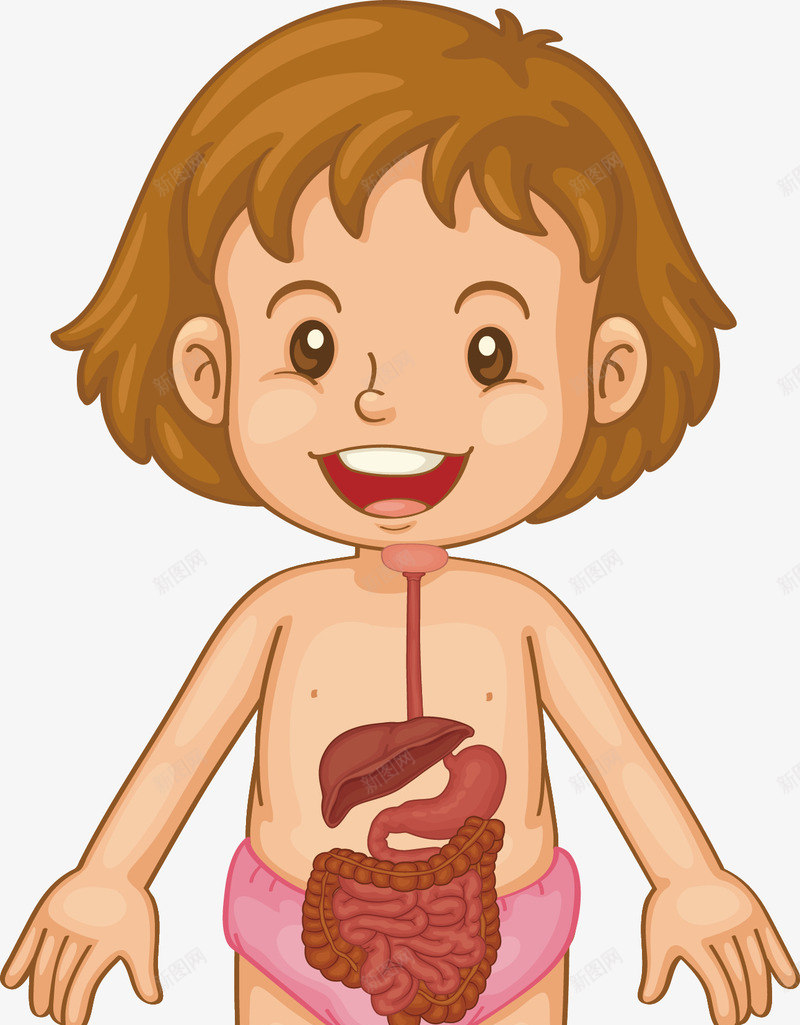 幼儿消化系统png免抠素材_新图网 https://ixintu.com 幼儿 消化系统 消化道 生物教学 肠胃