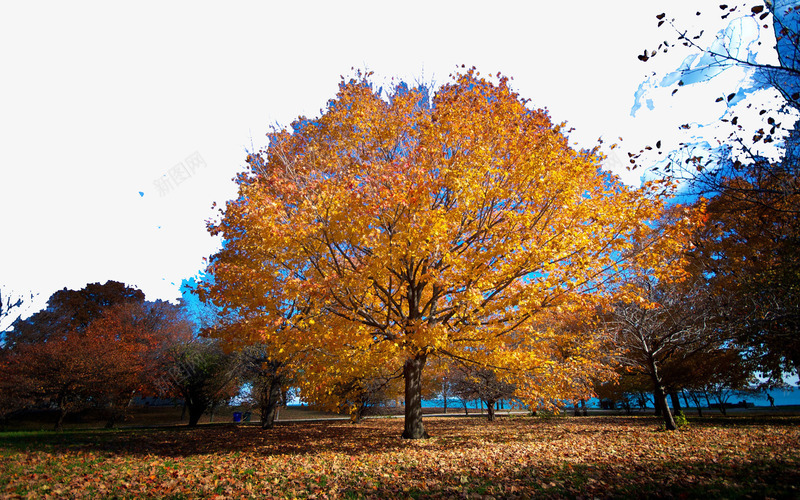 美国芝加哥城市四png免抠素材_新图网 https://ixintu.com 名胜古迹 旅游风景 著名建筑