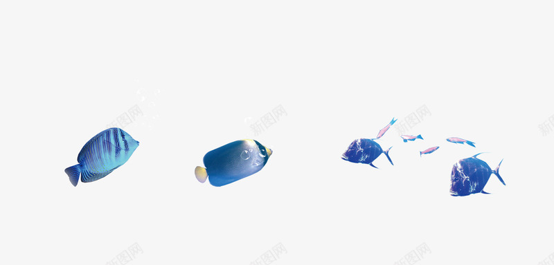 海底鱼png免抠素材_新图网 https://ixintu.com 3d鱼类 卡通鱼 海底世界 海洋动物 海洋素材