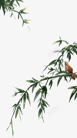 竹叶小鸟水墨画手绘竹子竹叶高清图片