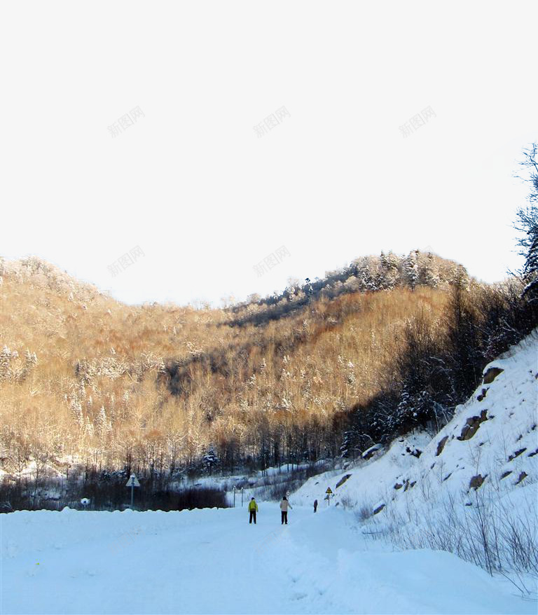 古蹟 地方景點 實物圖 山林 攝影圖 積雪 雪中行走 雪原 雪地 雪景