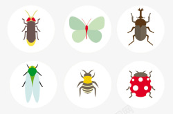 昆虫背影彩色昆虫背影图标高清图片