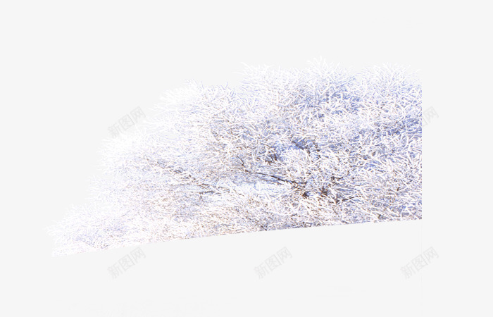 雪地树背景png免抠素材_新图网 https://ixintu.com 冬天 冬季 白色树 雪地装饰树 雪树
